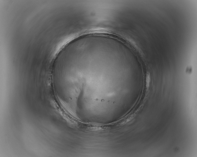 X0000111041405200907091558