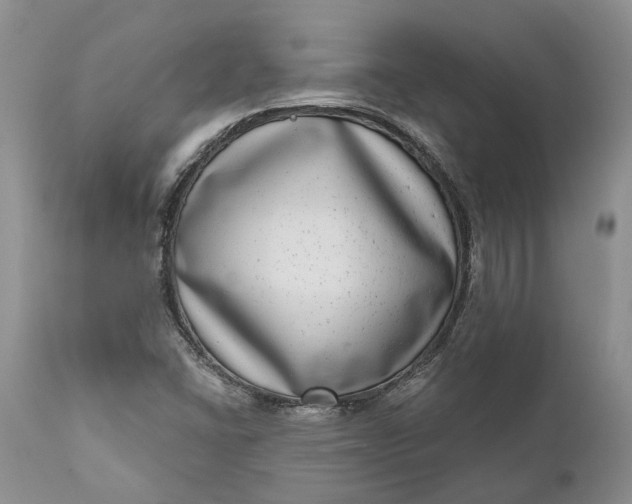 X0000111041406200907091558