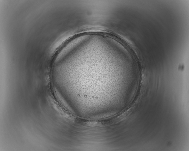 X0000111041407200907091558