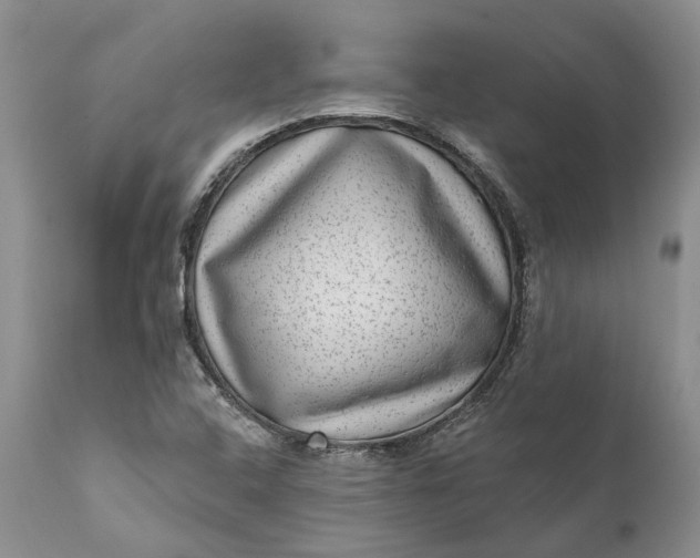 X0000111041408200907091558