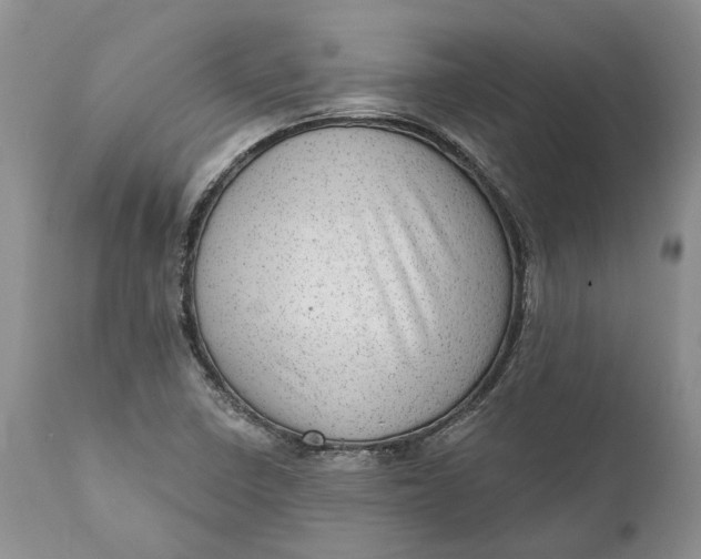 X0000111041410200907091558