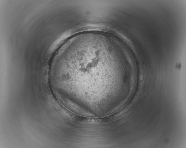 X0000111041411200907091558