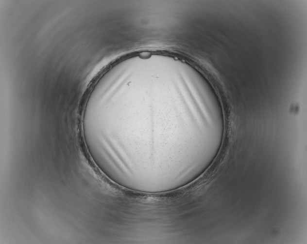 X0000111041412200907091558