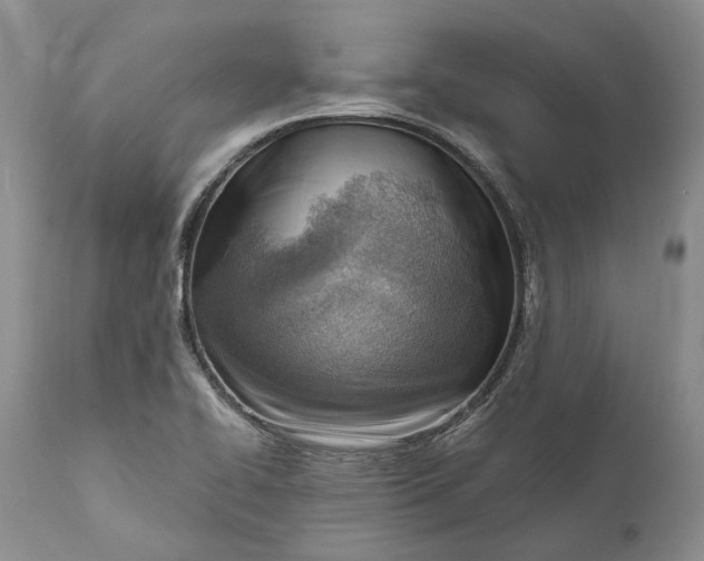 X0000111041414200907091558