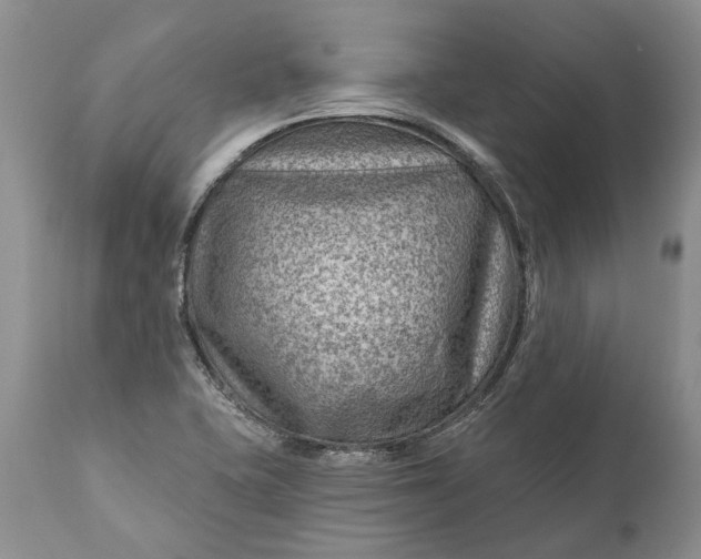 X0000111041415200907091558