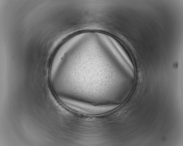 X0000111041416200907091558