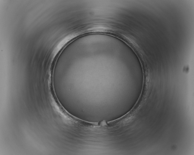 X0000111041418200907091558