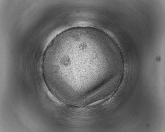 X0000111041421200907091558