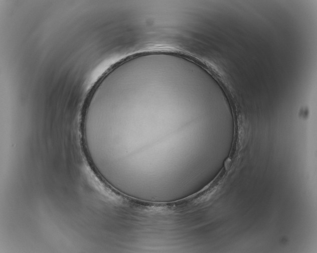 X0000111041422200907091558