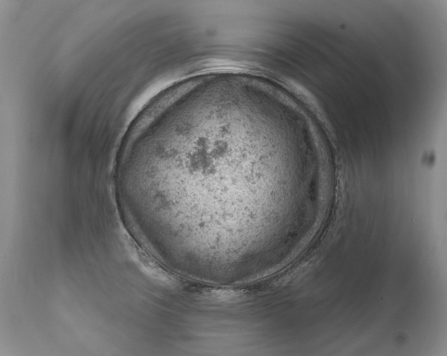 X0000111041427200907091558