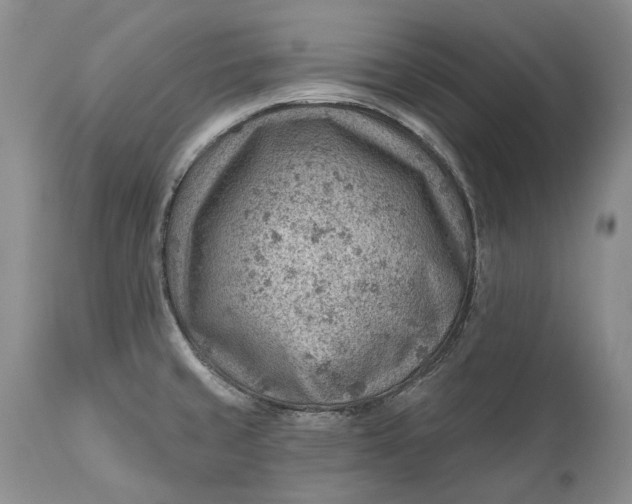 X0000111041429200907091558