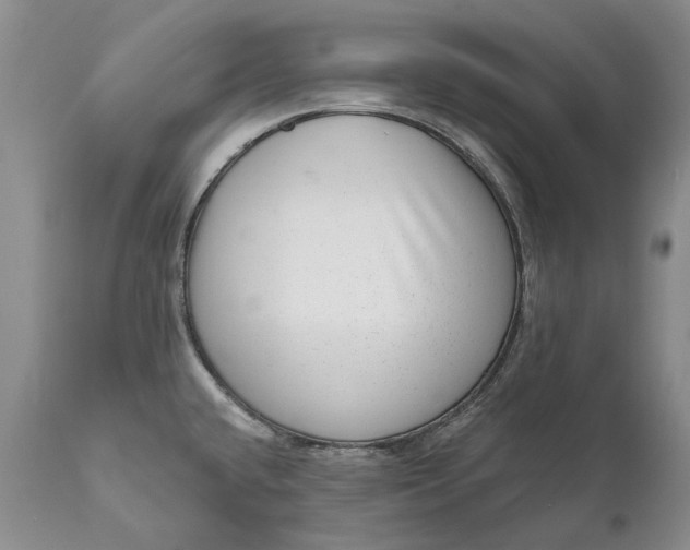 X0000111041432200907091558