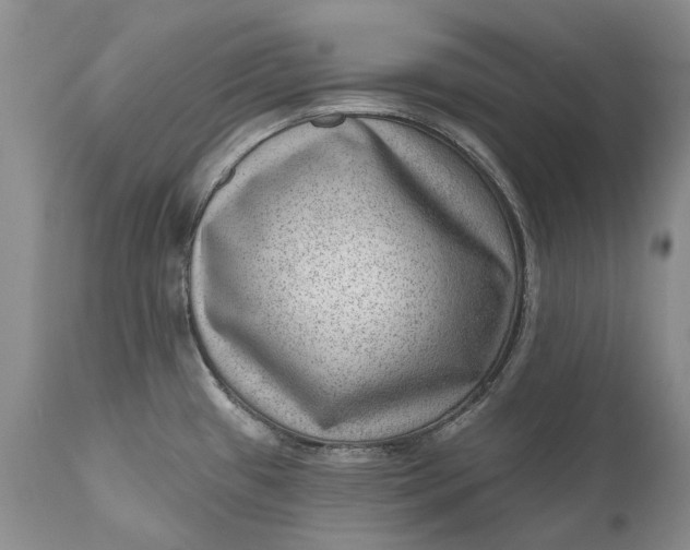 X0000111041433200907091558