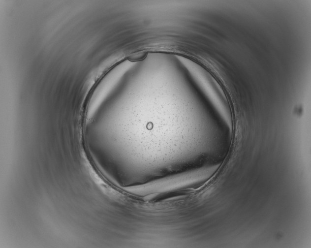 X0000111041434200907091558