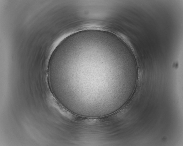 X0000111041435200907091558