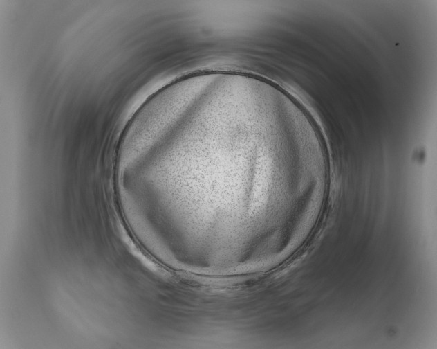 X0000111041437200907091558