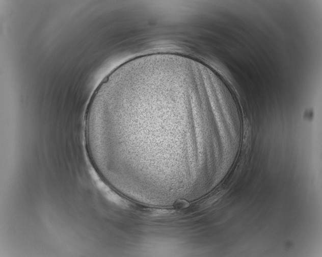 X0000111041439200907091558