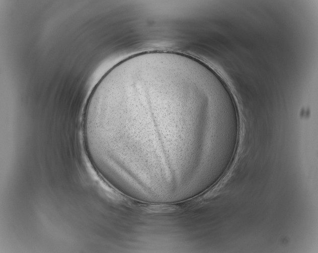 X0000111041440200907091558