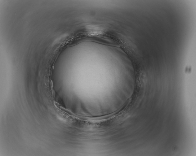 X0000111041441200907091558