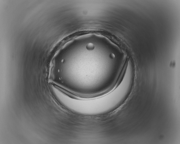 X0000111041449200907091557