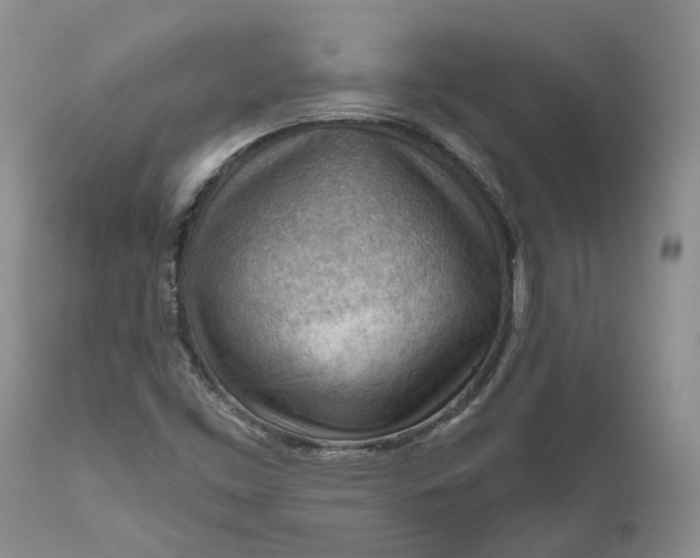 X0000111041453200907091557