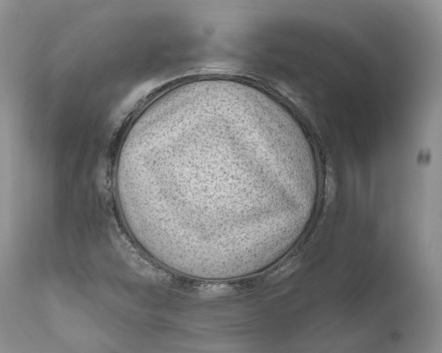 X0000111041454200907091557