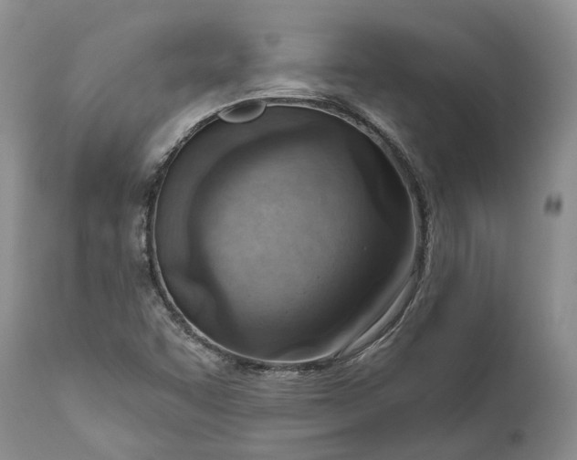 X0000111041455200907091557