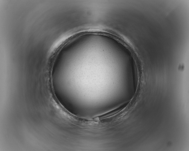 X0000111041456200907091557