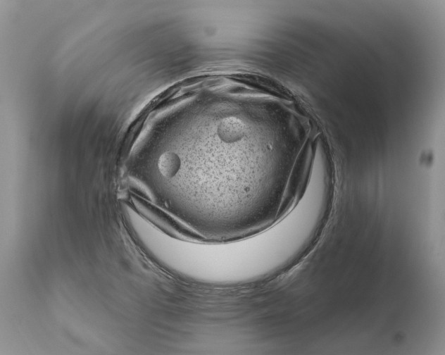 X0000111041457200907091557