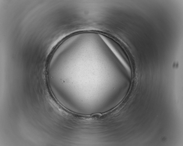 X0000111041460200907091557