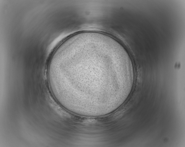 X0000111041462200907091557