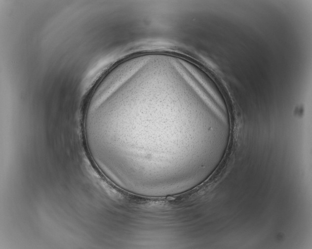 X0000111041464200907091557