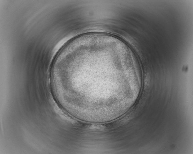 X0000111041466200907091557