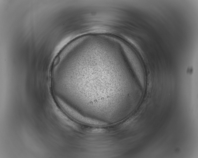 X0000111041467200907091557