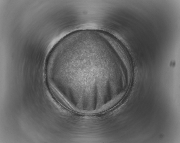 X0000111041469200907091557