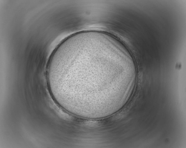 X0000111041470200907091557