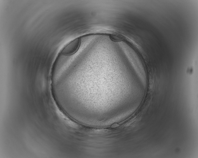 X0000111041471200907091557