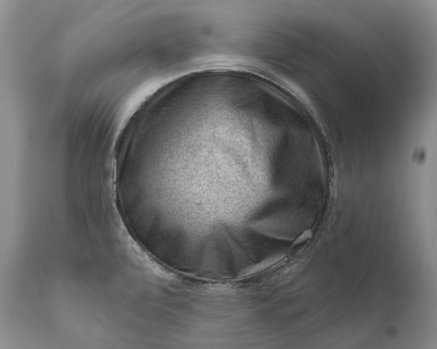 X0000111041472200907091557