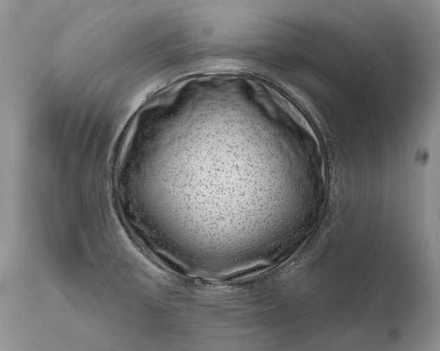 X0000111041475200907091557