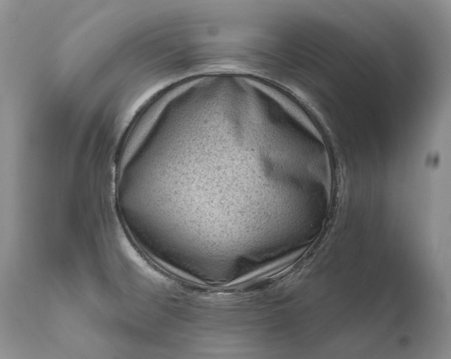 X0000111041476200907091557