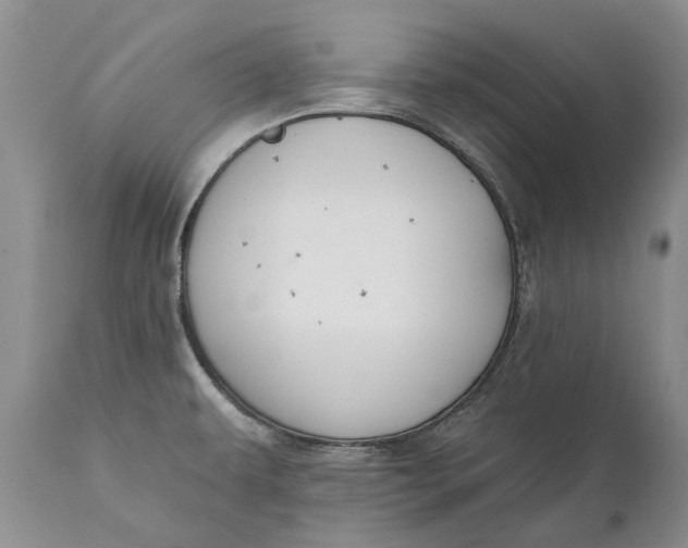 X0000111041479200907091557