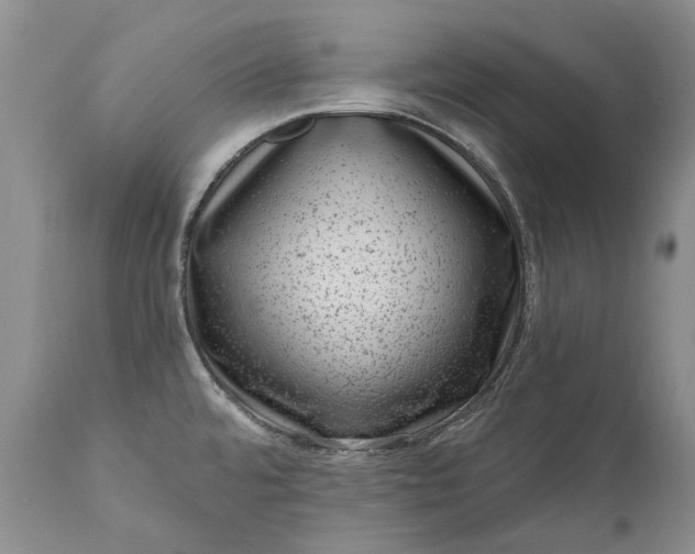 X0000111041480200907091557