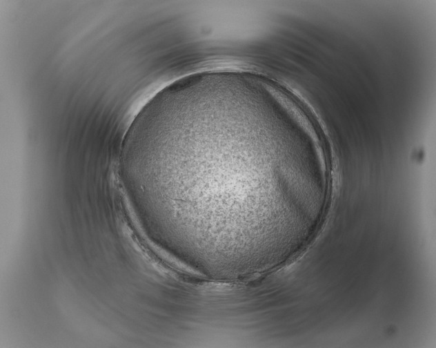 X0000111041481200907091557