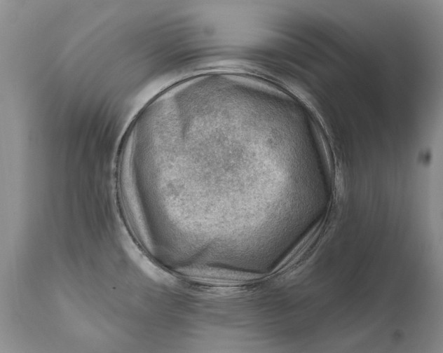 X0000111041482200907091557