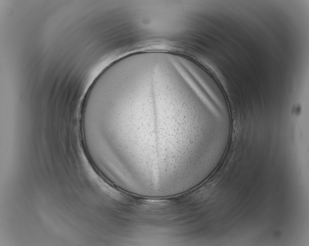 X0000111041483200907091557