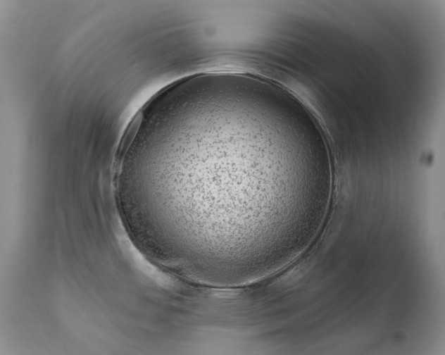 X0000111041484200907091557