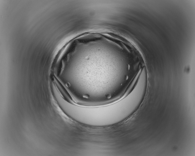 X0000111041485200907091557