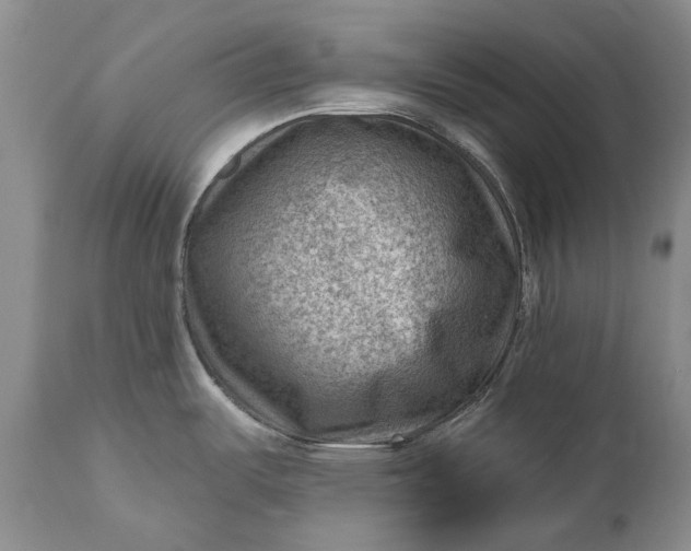 X0000111041487200907091557