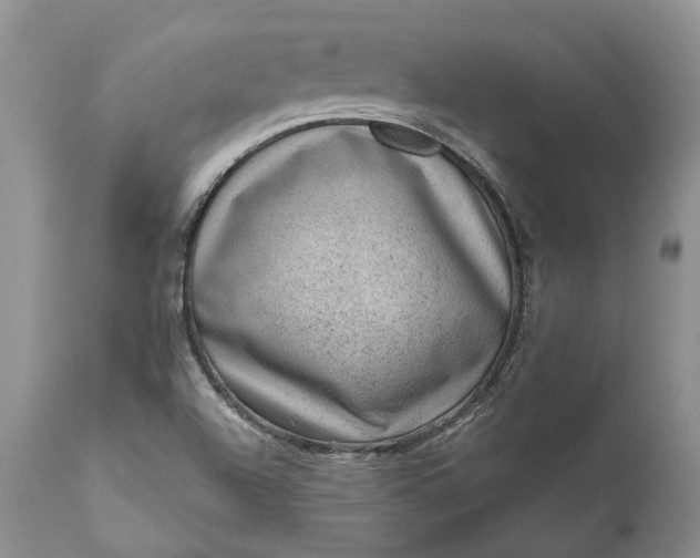 X0000111041504200907091556