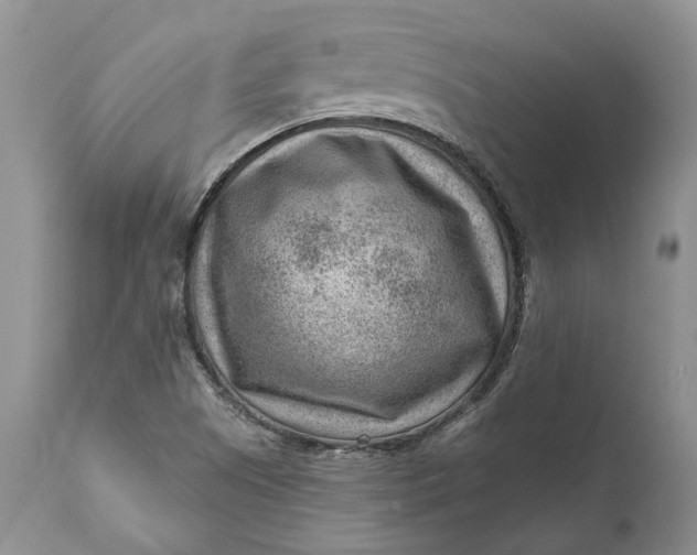 X0000111041505200907091556